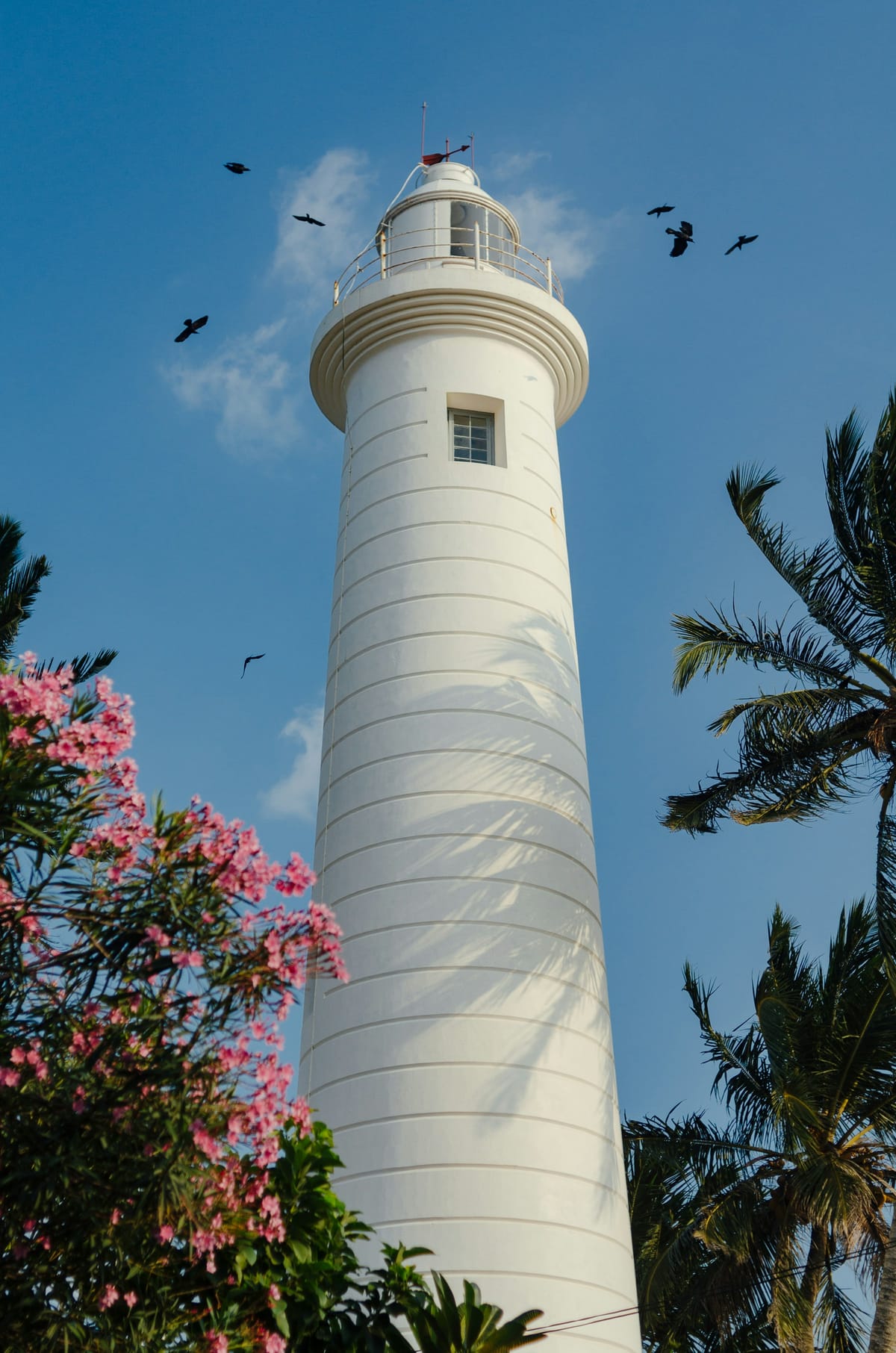 Galle Fort — ~40 minutes away